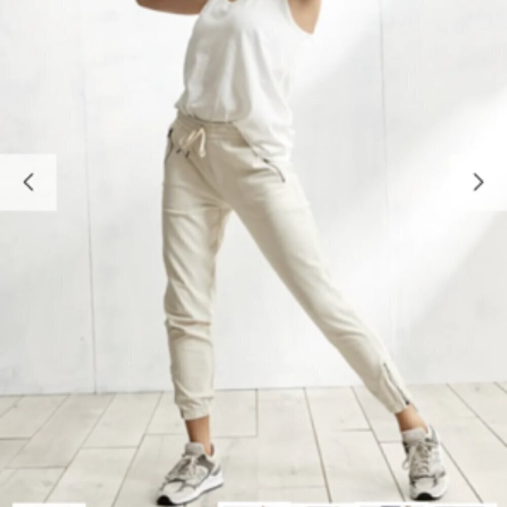 ATHLETA Birch Light Gray Farallon Jogger Pants Sz 4 - Picture 3 of 14